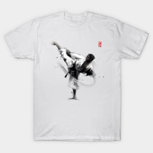 Karate Sensei T-Shirt